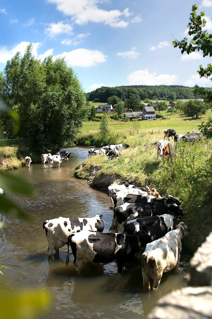 Puur Mechelen Villa Kültér fotó